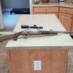 Ruger Guide Gun 416