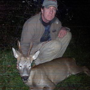 Roe deer Hunting in England