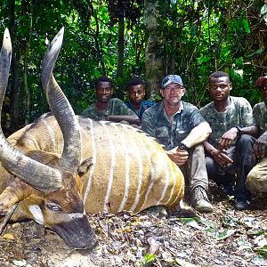 Bongo Hunting in the Congo