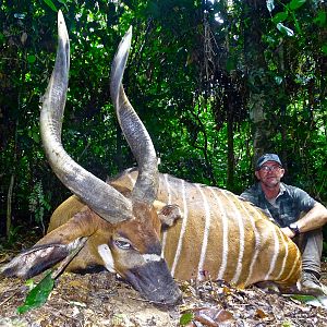 Bongo Hunting in the Congo