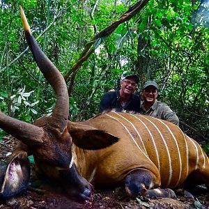 Bongo Hunting in the Congo