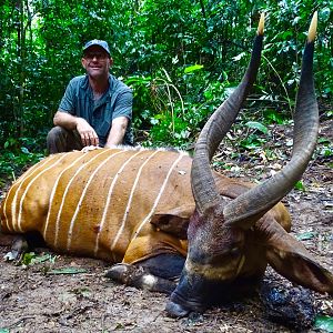 Bongo Hunting in the Congo