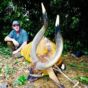 Bongo Hunting in the Congo