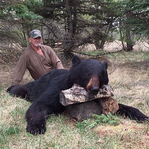 Black Bear Hunt