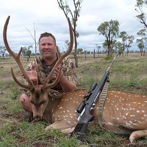 Chital Stag Hunt