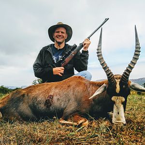 Hunting Blesbok South Africa