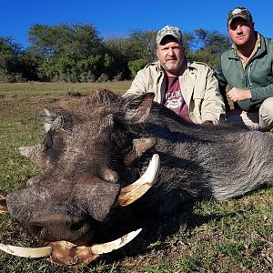 South Africa Warthog Hunt