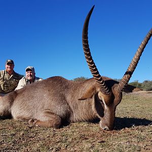 Waterbuck South Africa Hunt