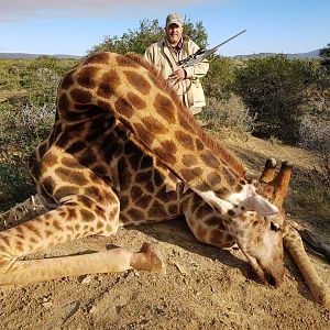 Giraffe South Africa Hunting