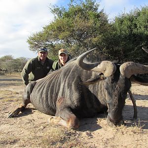 South Africa Hunting Blue Wildebeest