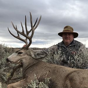 Hunting Mule Deer