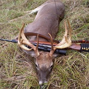 Whitetail Deer Hunt in Texas