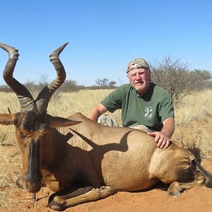 Red Hartebeest Hunting Namibia