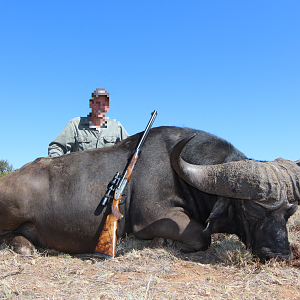 South Africa Hunting Cape Buffalo