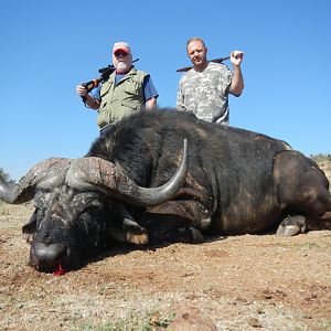 South Africa Hunting Cape Buffalo