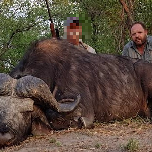 Cape Buffalo Hunt in Namibia