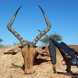 Namibia Hunt Impala