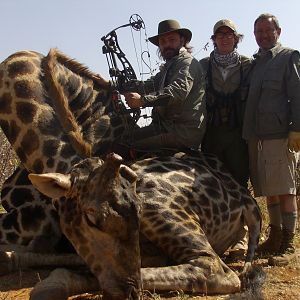 Namibia Bow Hunting Giraffe