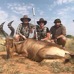 Red Hartebeest Hunt in Namibia