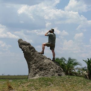 Glassing for Buffalo Namibia