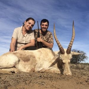 Hunt White Blesbok in South Africa