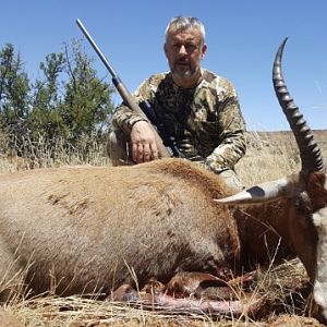 Blesbok Hunt in South Africa