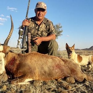 Hunting Blesbok South Africa