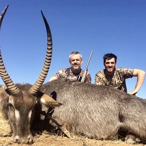 Waterbuck Hunt in South Africa