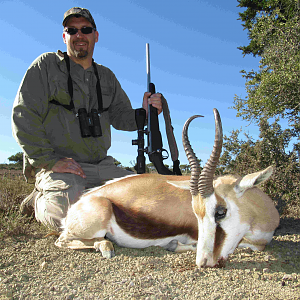 Springbok