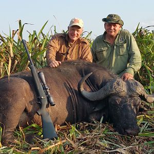 Cape Buffalo Hunt in Mozambique