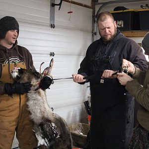 Arctic Caribou Hunt In 22 Below Zero Feirenhight Temps