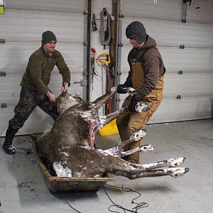 Arctic Caribou Hunt In 22 Below Zero Feirenhight Temps