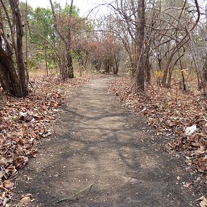 Cleaning the path to the blind