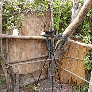 View on inside of Hunting Blind