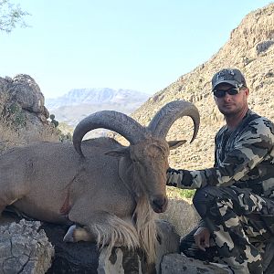 South West Texas Aoudad Hunt