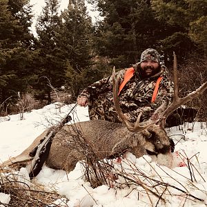 Deer Hunt in Montana