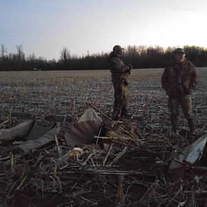 Goose Hunting