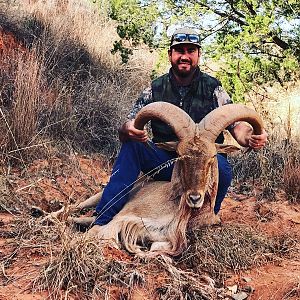 Aoudad Hunting Texas