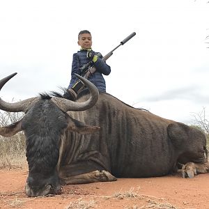 Blue Wildebeest Hunting in South Africa