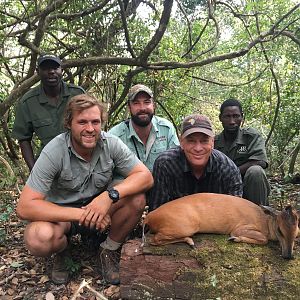 Red Duiker in Mozambique