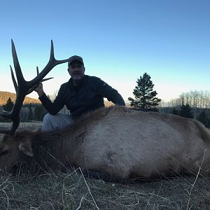 Elk Hunt