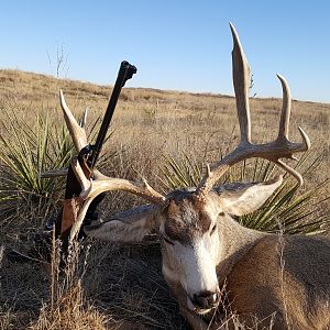 Hunting Mule Deer