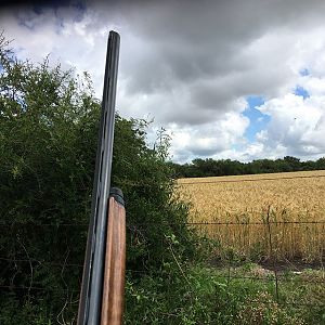 Bird Hunting Argentina