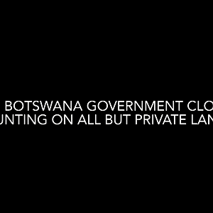 The Effects Of The Safari Hunting Tourism Ban On Rural Livelihoods And Wildlife Conservation In Northern Botswana