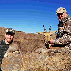 Hunt Mountain Reedbuck South Africa