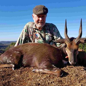 South Africa Hunt Bushbuck