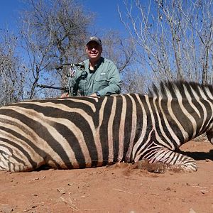 Burchell's Plain Zebra Hunt in South Africa