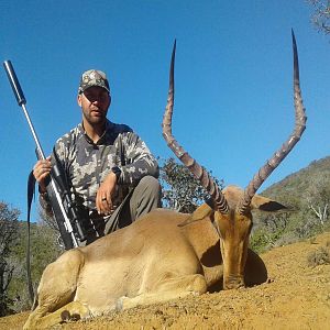 Hunt Impala in South Africa