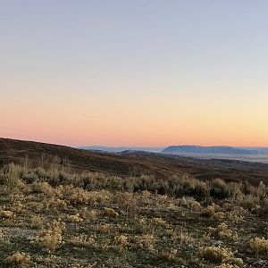 Utah Hunt