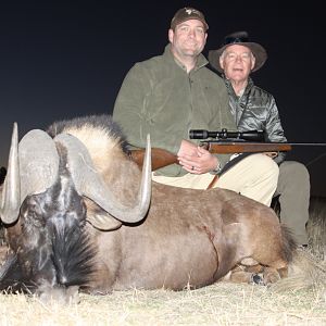 South Africa Hunting Black Wildebeest